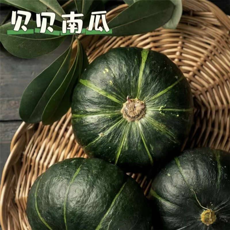 新疆贝贝南瓜 颜值高 口感好 皮薄肉厚 粉糯香甜 当季蔬菜