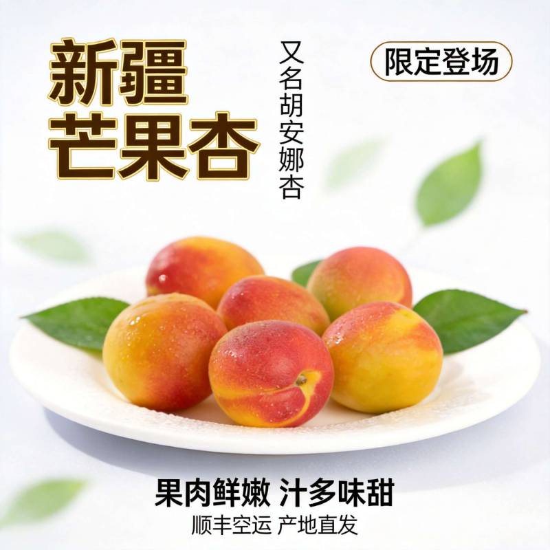 新疆芒果杏 胡安娜杏 当季鲜果 个大肉厚 汁多味甜 一杏两吃 产地直发