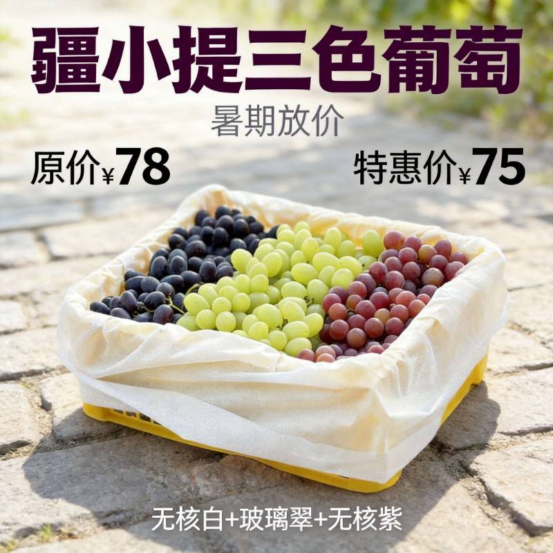 疆小提新疆三色葡萄 无核白+玻璃翠+无核紫 一次尝三味 皮薄无籽爆汁 热销第11季 当季新鲜水果